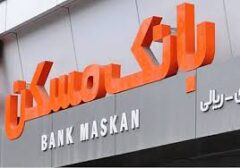 عدم پرداخت تسهیلات با نرخ سود صفردرصدی به متقاضیان/ شفافیت در ارایه صورت های مالی؛ مورد تاکید مدیران عالی بانک مسکن