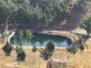 توسعه نیروگاه خورشیدی بوستان جنگلی سرخه‌حصار به ۱۵۵ کیلووات