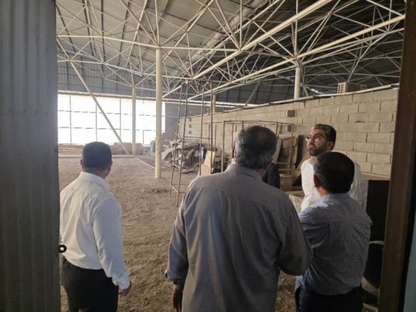 بررسی میدانی جانمایی بازارچه مشترک مرزی در شلمچه بررسی میدانی جانمایی بازارچه مشترک مرزی در شلمچه