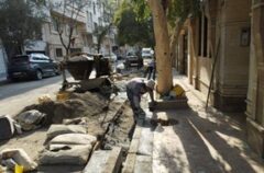 نهضت خدمت‌رسانی در منطقه۱۴؛ از بهسازی پیاده‌روها تا نوسازی آسفالت و زیبایی معابر