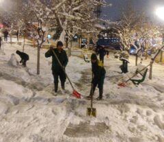 اجرای گسترده عملیات برف‌تکانی درختان و پاکسازی معابر بوستان‌ها در منطقه یک