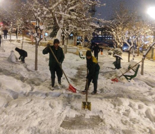 اجرای گسترده عملیات برف‌تکانی درختان و پاکسازی معابر بوستان‌ها در منطقه یک