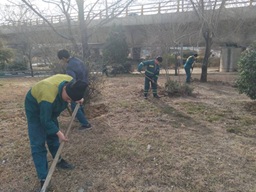 اجرای عملیات گسترده به زراعی و کاشت درخت در سطح منطقه۵