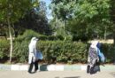 مشارکت بانوان حامی محیط‌زیست منطقه۲ در پویش پاکسازی بوستان پردیسان/ بوستان پردیسان میزبان بانوان حامی محیط زیست