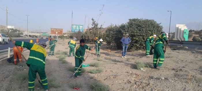 ۲۰۰ نیروی تخصصی در طرح نگهداشت بزرگراهی یاسینی به کار گرفته شدند/ حرکت همزمان ۴۵ دستگاه ماشین‌آلات سنگین برای زیباسازی بزرگراه شهید یاسینی
