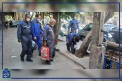 خیابانهای شاخص ناحیه ۳ طعمهگذاری و لانهکوبی شد خیابانهای شاخص ناحیه ۳ طعمهگذاری و لانهکوبی شد