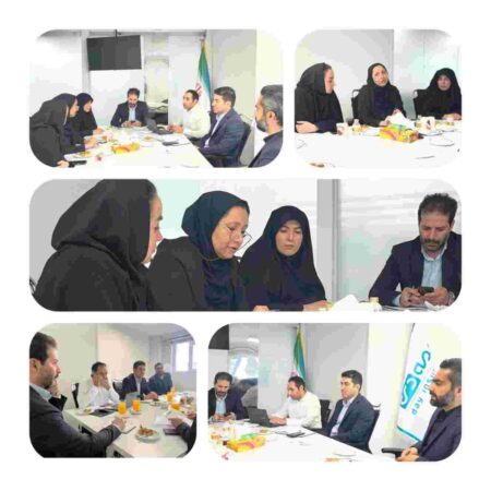 چهارمین نشست بنیاد شهید تهران و بیمه دی؛ پایش تخصصی مراکز درمانی