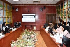 به همت مرکز پژوهش‌های کاربردی علوم زمین صورت گرفت؛ تدوین و انتشار استاندارد ملی تعیین کروم (III) و کروم (VI) در آب